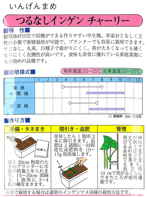 プランターインゲン：チャーリー（つるなし・すじなし） [野菜タネ]*