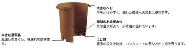 バラ鉢8号(ブラウン)