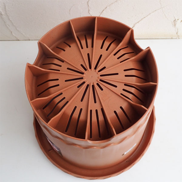 バラ鉢8号(ブラウン)