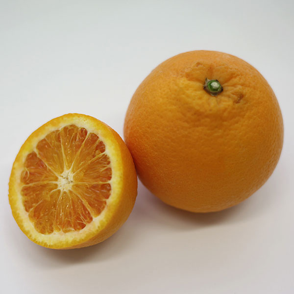 ブラッドオレンジ3号ポット