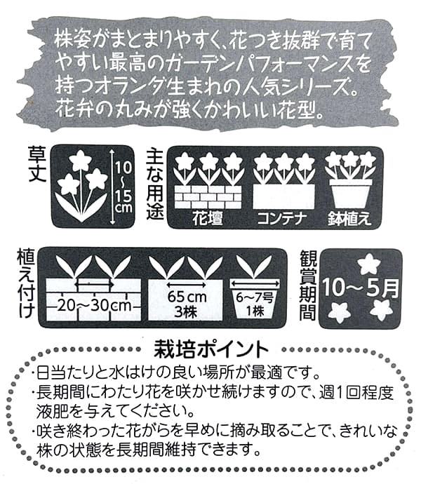 園芸ネット本店｜ビオラ：フローラルパワー トリコロールポルカ3.5号
