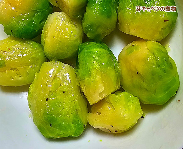 芽キャベツ:早生子持ち2.5~3号ポット 2株セット