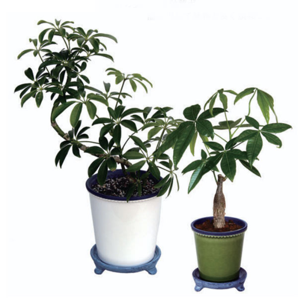 グレーズポット:GP-17 グリーン(直径17cm)