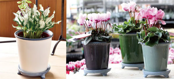 グレーズポット:GP-17 グリーン(直径17cm)