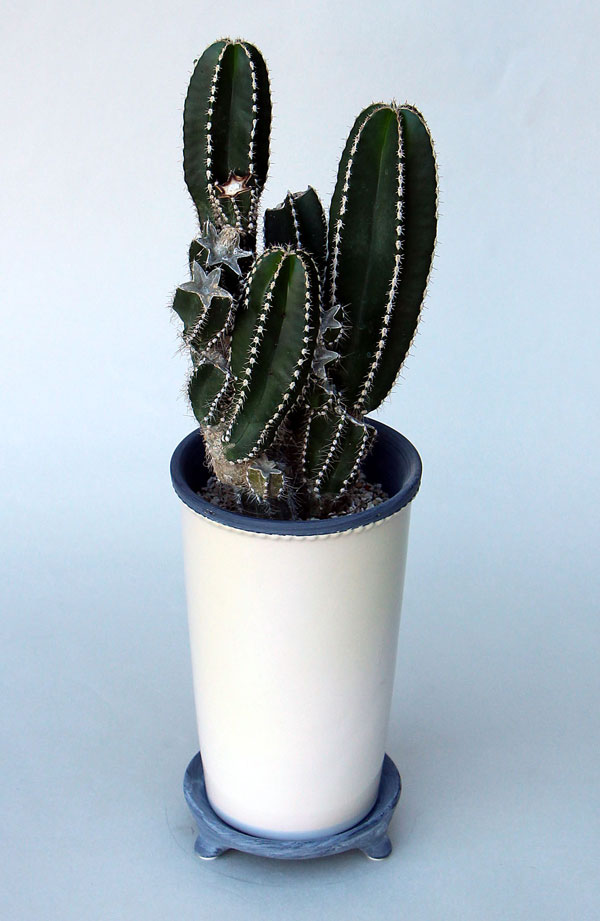 グレーズポット:GPH-14 ホワイト(直径14cm)