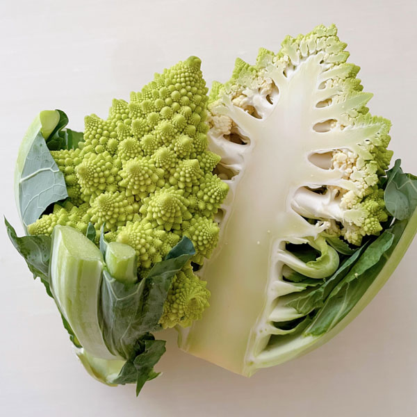 イタリア野菜:カリフラワーロマネスコの苗3-3.5号ポット