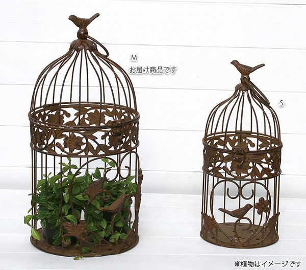 バードケージ:アンティークブラウン(M)AAB14-M20