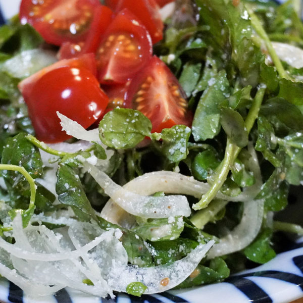 クレソンの苗3号ポット