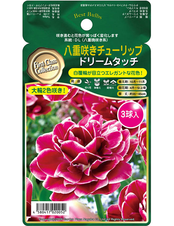 チューリップ(八重咲き):ドリームタッチ3球入り2袋セット