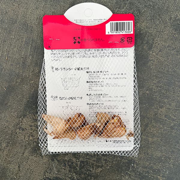 フリージア:ピーチクイーン5球入り