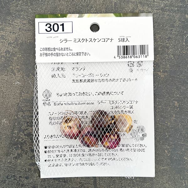 シラー:ミスクトスケンコアナ5球入り