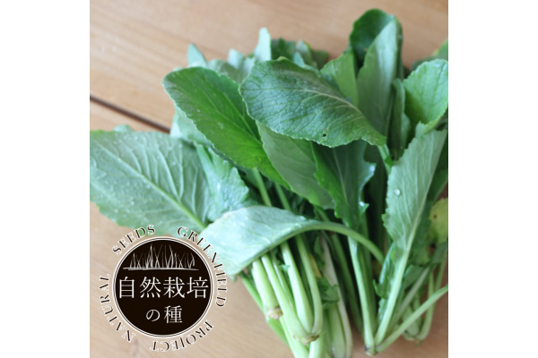 野菜の種：自然栽培種子　小松菜[野菜タネ]