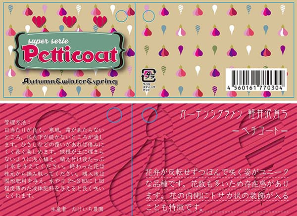 シクラメン：ペチコート　ダークバイオレット3号ロングポット