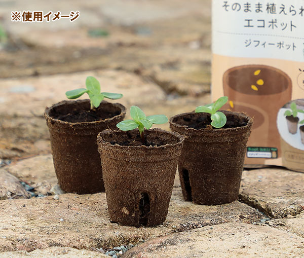そのまま植えられるエコポット:ジフィーポット丸型5.5cm 40個入り