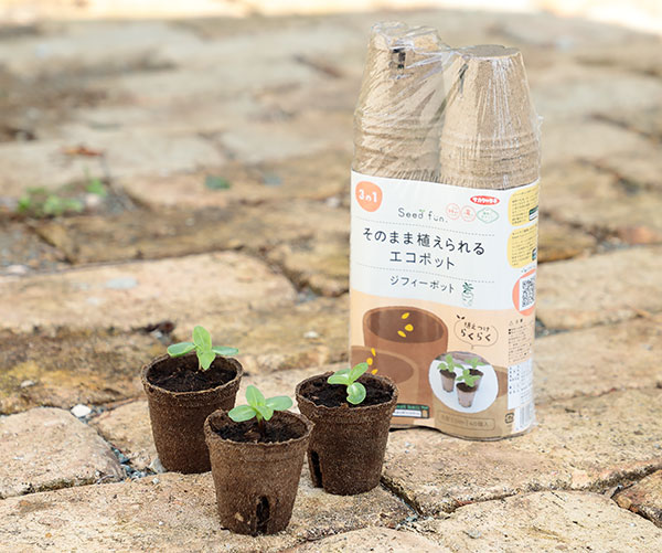 そのまま植えられるエコポット:ジフィーポット丸型5.5cm 40個入り
