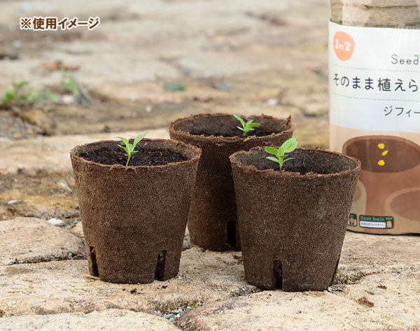 そのまま植えられるエコポット:ジフィーポット丸型8cm 30個入り