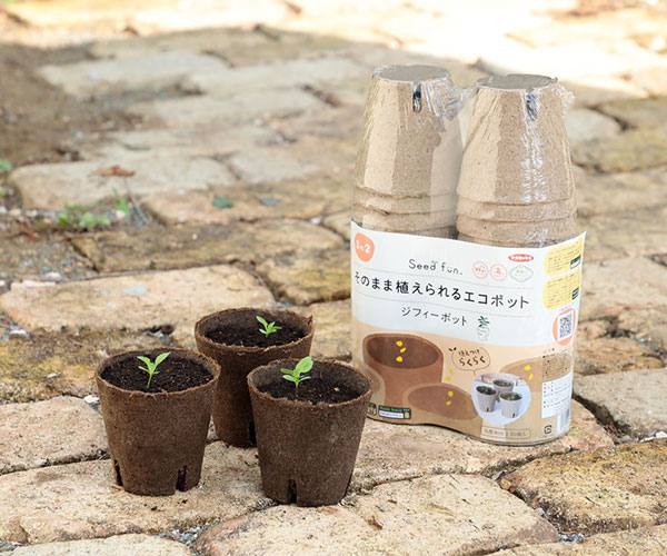 そのまま植えられるエコポット:ジフィーポット丸型8cm 30個入り