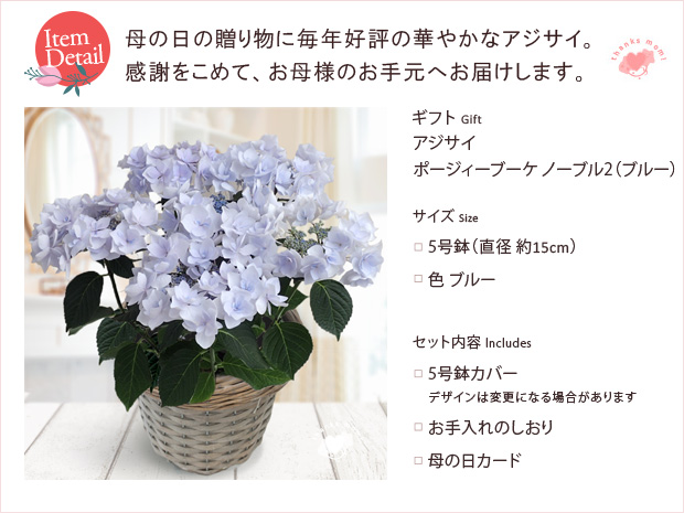 園芸ネット本店｜[送料無料][2019年母の日ギフト][予約] アジサイ