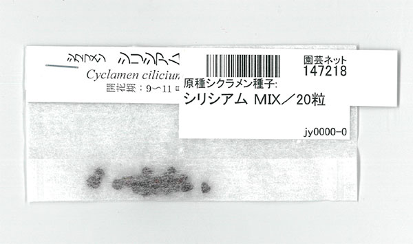 原種シクラメン種子：シリシアム ＭＩＸ／20粒