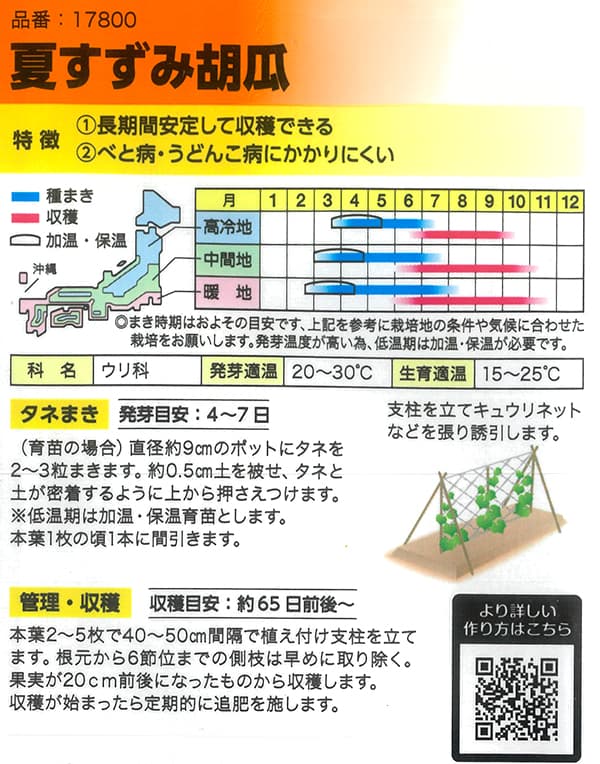 キュウリ：夏すずみ[野菜タネ]