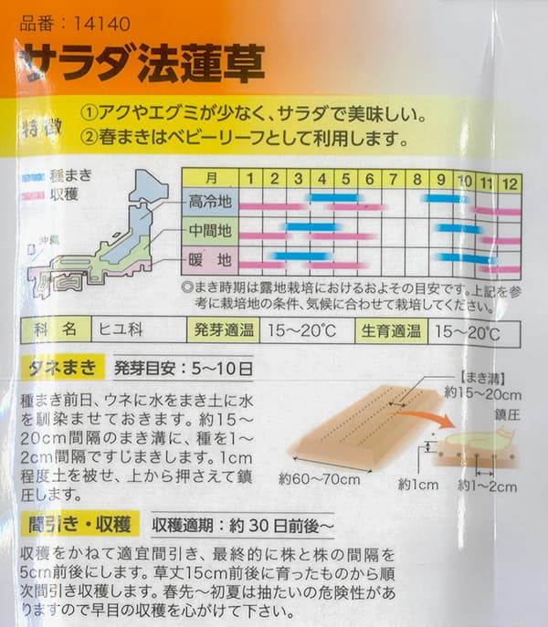 ホウレンソウ：サラダ法蓮草[野菜タネ]