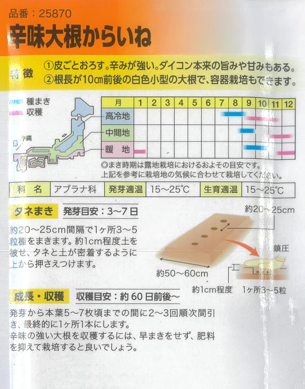 辛味大根（ダイコン）：からいね[野菜タネ]