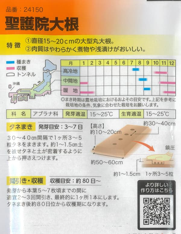 ダイコン：聖護院大根[野菜タネ]