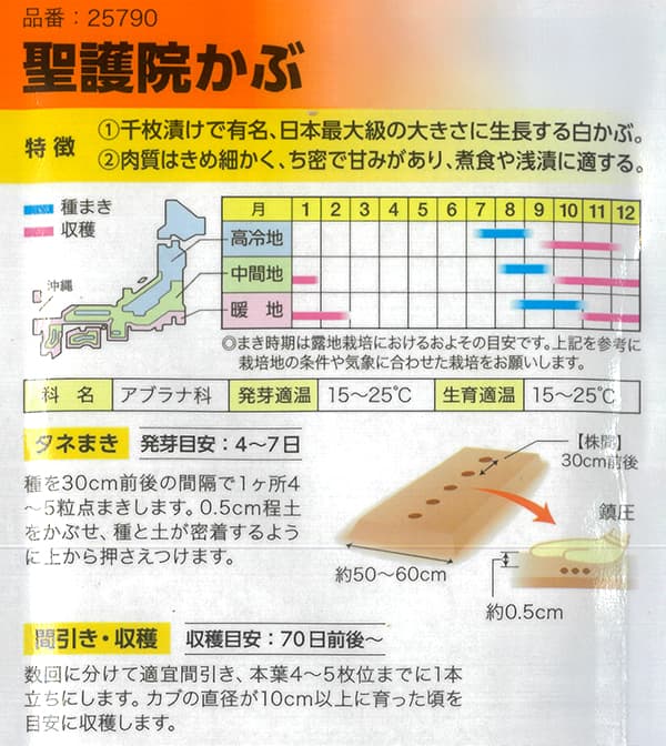 カブ：聖護院かぶ[野菜タネ]