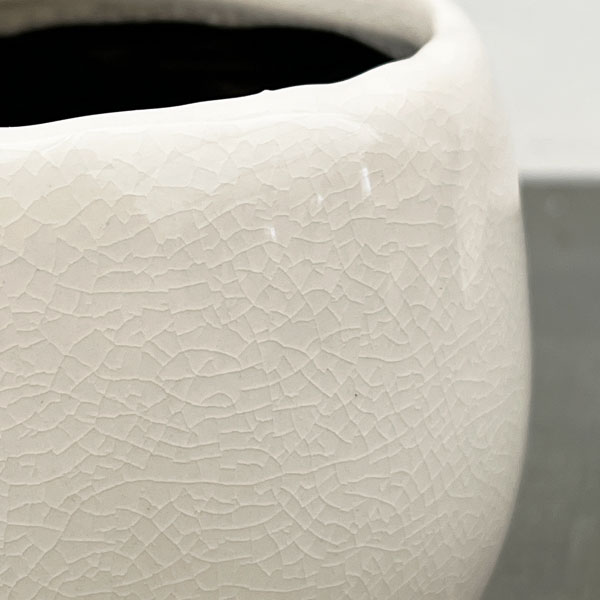 アンジェラ:白L(直径約11cm)・皿付