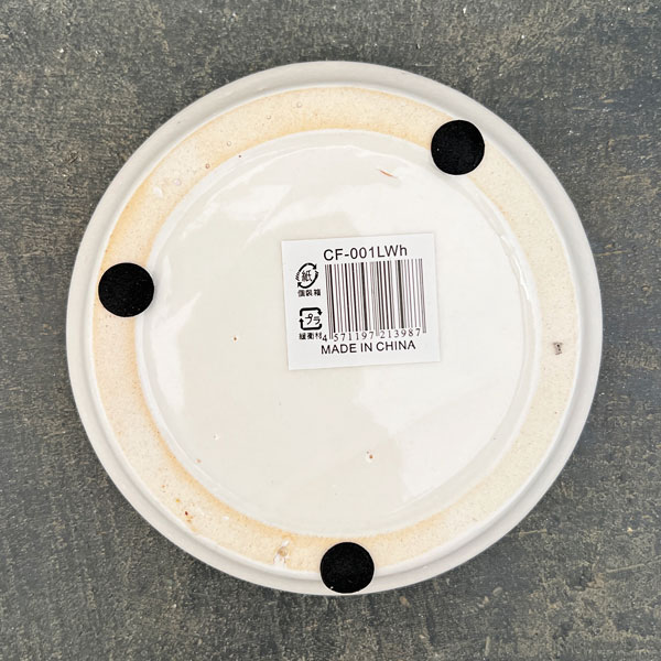 アンジェラ:白L(直径約11cm)・皿付