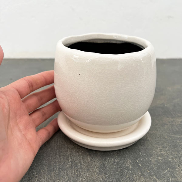 アンジェラ:白L(直径約11cm)・皿付