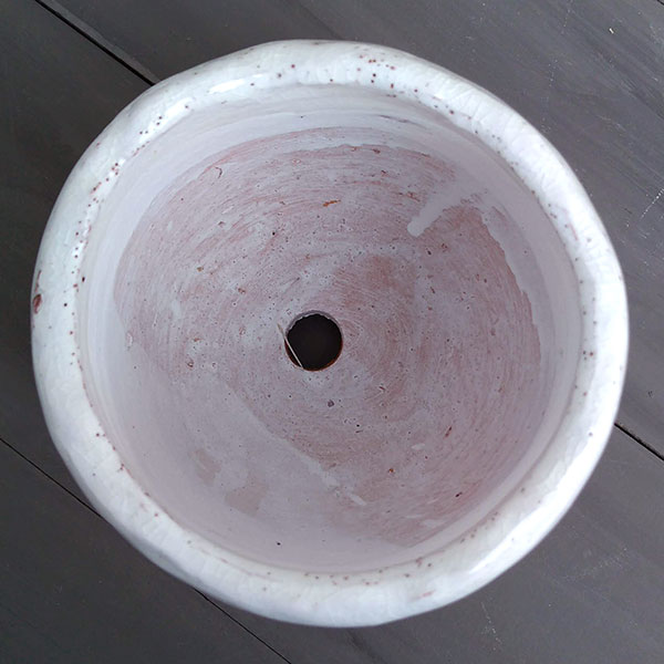 アンジェラ:白L(直径11cm)・皿付