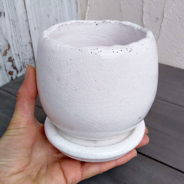 アンジェラ:白L(直径11cm)・皿付