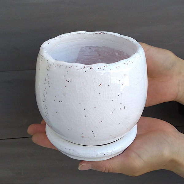 アンジェラ:白L(直径11cm)・皿付