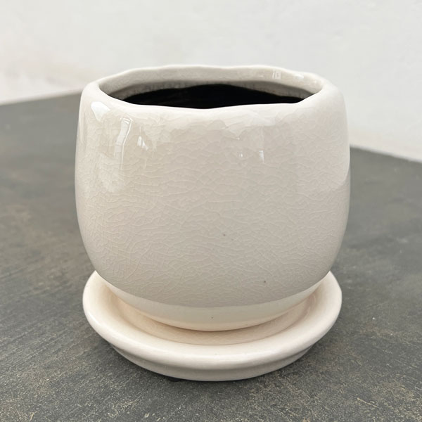 アンジェラ:白L(直径約11cm)・皿付