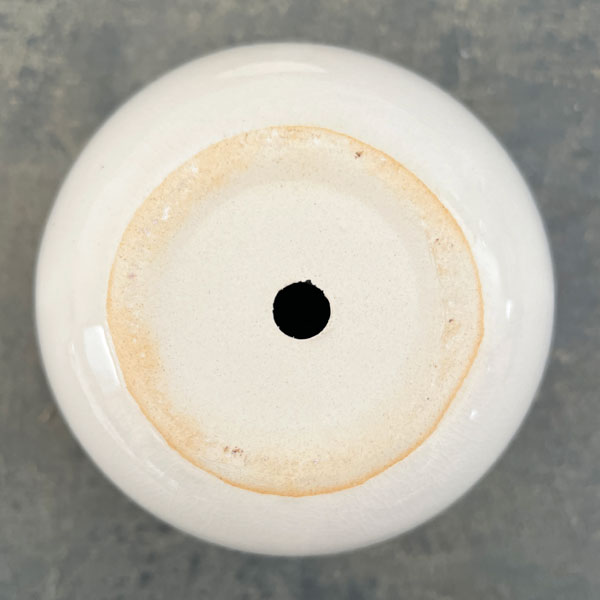 アンジェラ:白L(直径約11cm)・皿付