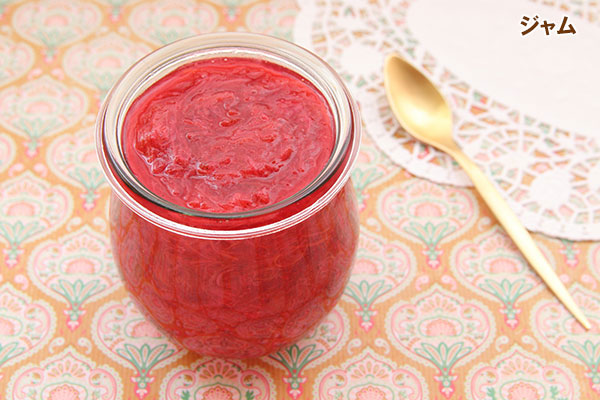 [26年4月上旬予約]ルバーブ：スペシャルレッド3号ポット