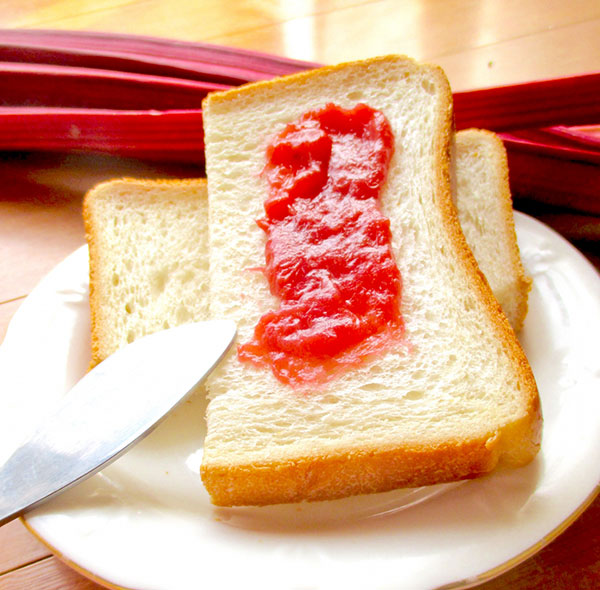 [26年4月上旬予約]ルバーブ：スペシャルレッド3号ポット