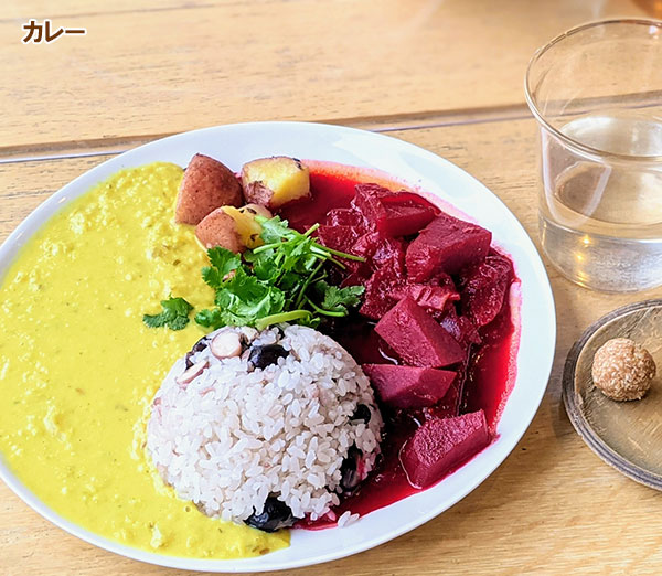 [26年4月上旬予約]ルバーブ：スペシャルレッド3号ポット