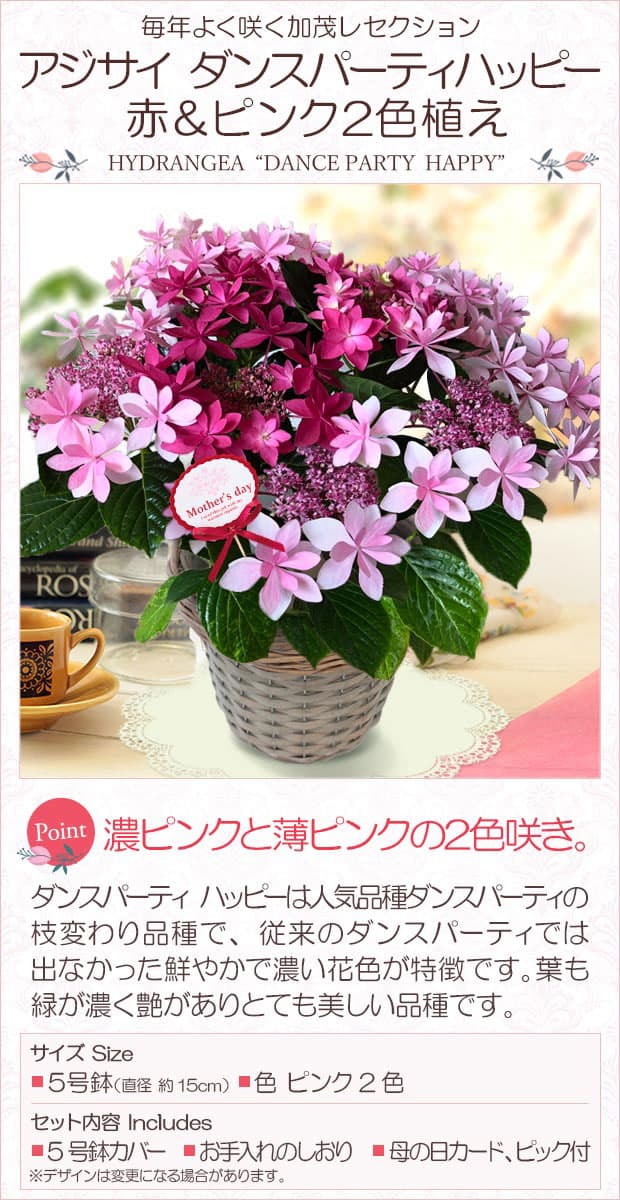 園芸ネット本店｜[送料無料][早届け][2019年母の日ギフト][予約