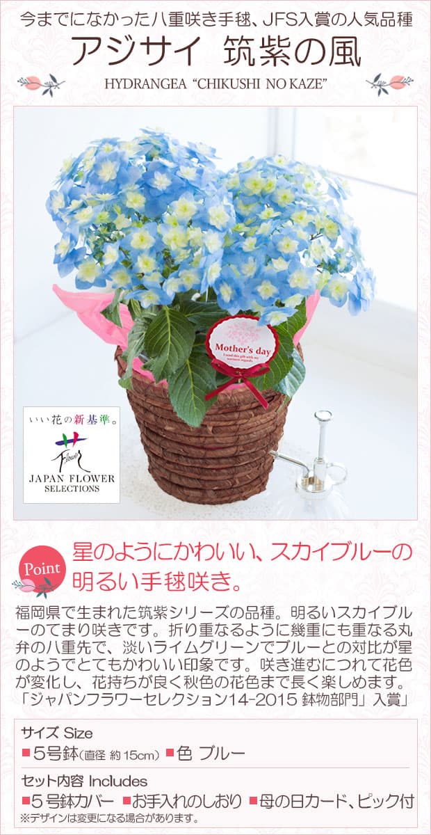 園芸ネット本店｜[送料無料][2019年母の日ギフト][予約]アジサイ：筑紫