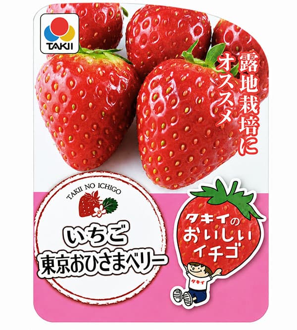 園芸ネット本店｜イチゴ（一季なり）：東京おひさまベリー(PVP)3号