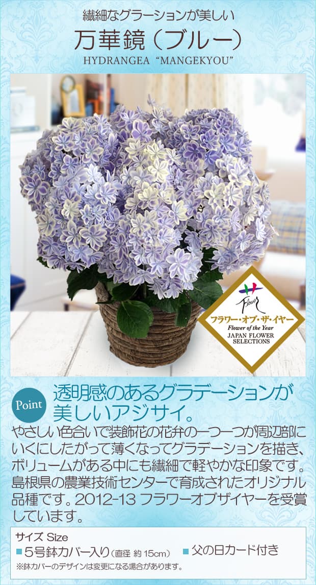 園芸ネット本店｜[送料無料][2019年父の日ギフト][予約]アジサイ