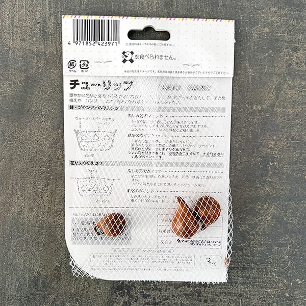 チューリップ（原種系）：テータテート3球入り