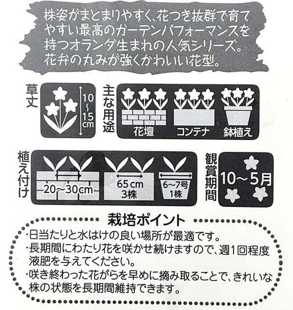 ビオラ:フローラルパワー トリコロールピアニッシモ3.5号ポット