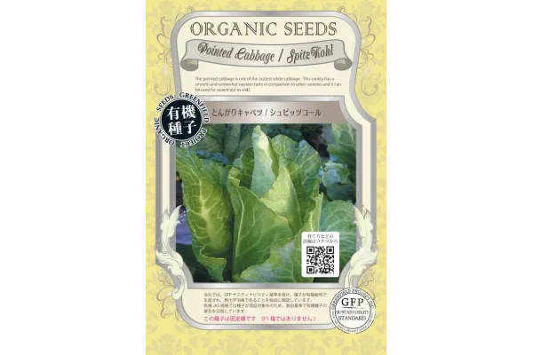 【有効期限25年11月】野菜の種：有機種子　とんがりキャベツ（シュピッツコール）[野菜タネ]