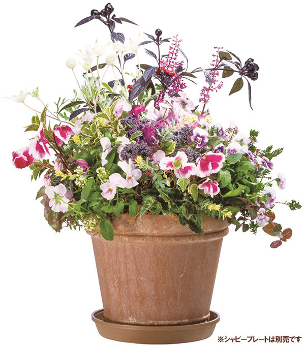 園芸ネット本店｜シャビーポット：6号ブラウン 3個セット の通販【公式】