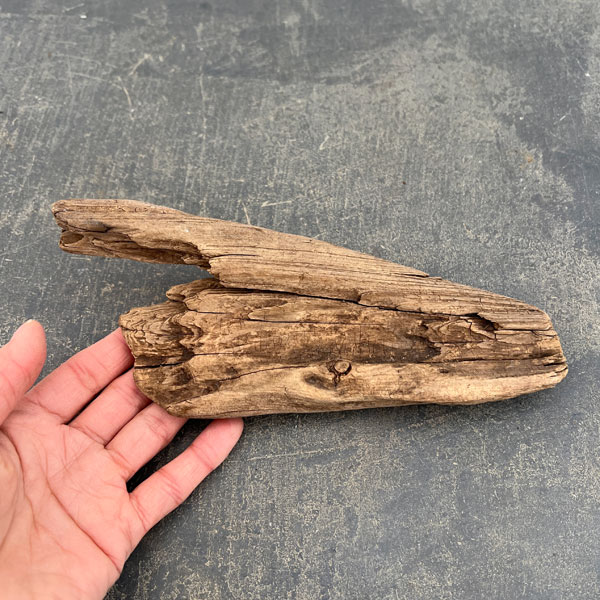 熊野の天然流木・小サイズ10～20cm