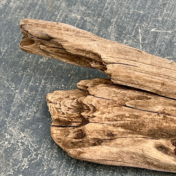 熊野の天然流木・小サイズ10～20cm