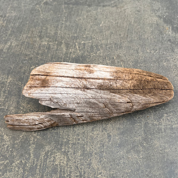 熊野の天然流木・小サイズ10～20cm